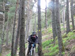 cycles et nature a vallnord pour la dh cup
